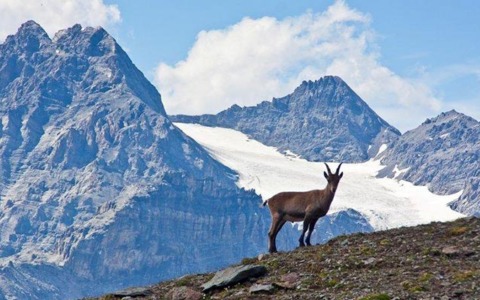 Avvio delle attività di Soggiorni Stellati