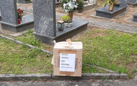 Il 2025 in Valtellina: dodici eventi significativi