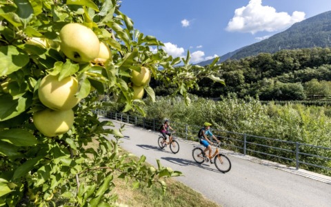 Le problematiche del Sentiero Valtellina a Villa di Tirano
