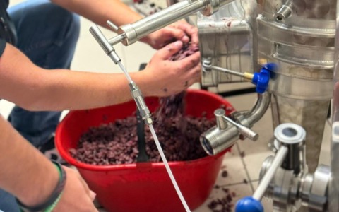 Al via la sperimentazione 4+2 nelle scuole Besta-Fossati e Agrario