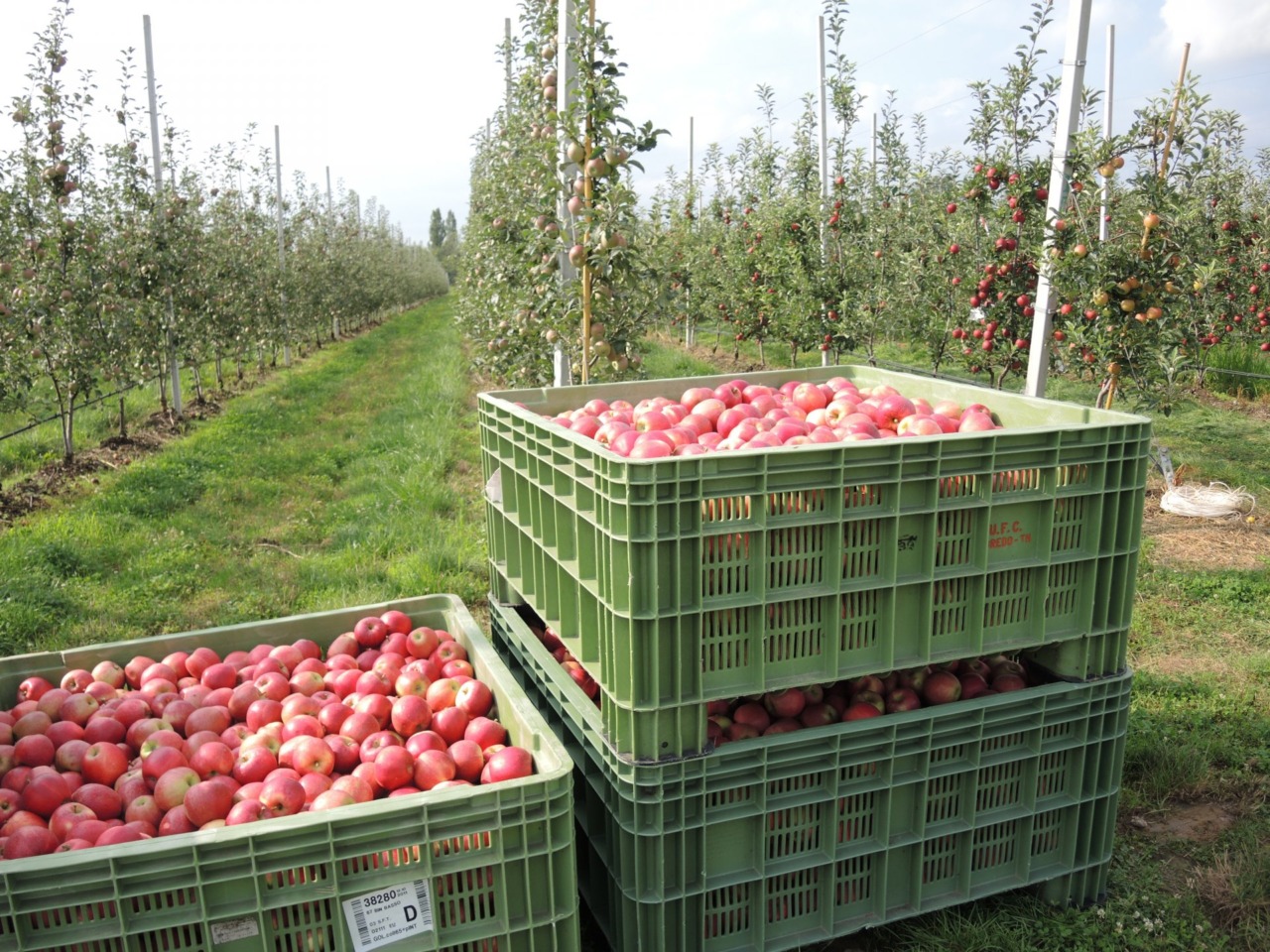 Melavì: la cooperativa chiede più dialogo per tutelare creditori e territorio