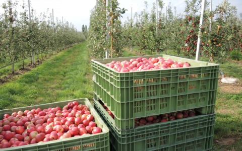 Melavì: la cooperativa chiede più dialogo per tutelare creditori e territorio