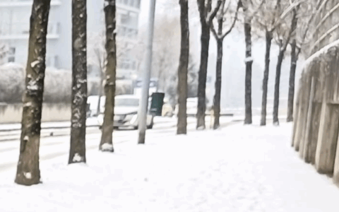 Neve in arrivo, il Comune critica Secam per i servizi non effettuati