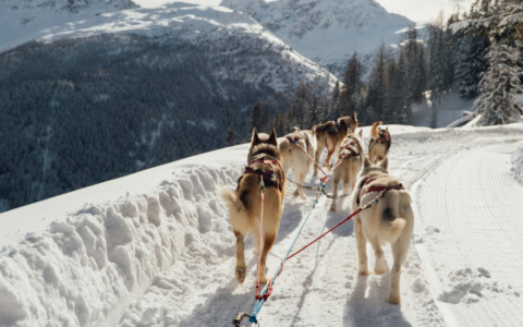 Scoprire la Valtellina: sport, benessere e tradizioni culinarie