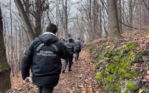 Sequestro di droga nei boschi di Mazzo di Valtellina: due arresti