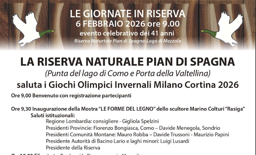 Le forme del legno: arte e sport nella Riserva Pian di Spagna