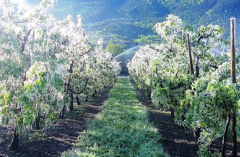 Melavì: famiglie in attesa di risposte e pagamenti