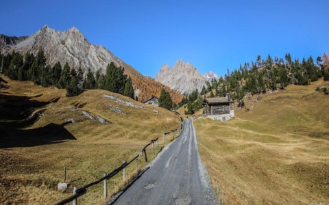 Sovvenzioni per recinzioni nel Parco Nazionale dello Stelvio