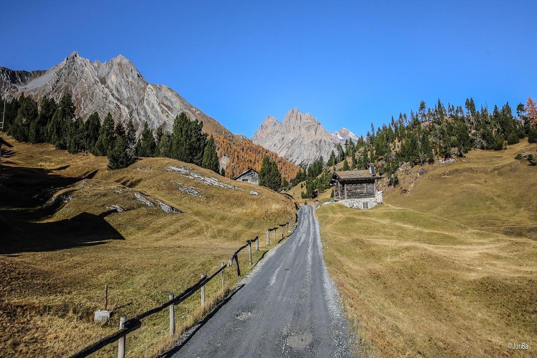 Sovvenzioni per recinzioni nel Parco Nazionale dello Stelvio