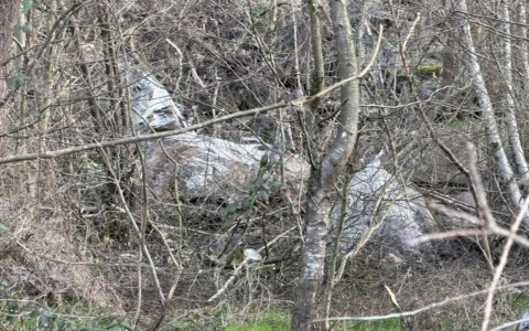 Frana sulla Statale 36, Silvana Snider: “Essenziale avere viabilità alternativa”