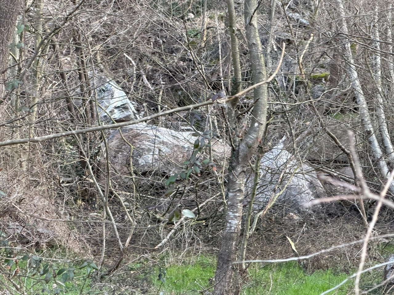 Frana sulla Statale 36, Silvana Snider: “Essenziale avere viabilità alternativa”