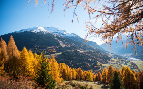 Incontro formativo per la gestione dell’assistenza agli anziani