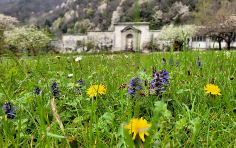 Palazzo Vertemate Franchi riapre al pubblico con eventi speciali