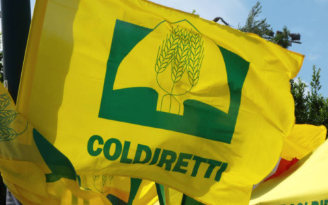 Approvazione della legge Caselli: un passo avanti per Coldiretti Sondrio