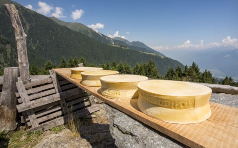 Connessioni veloci per alpeggi e valli: la sfida dell’agricoltura digitale