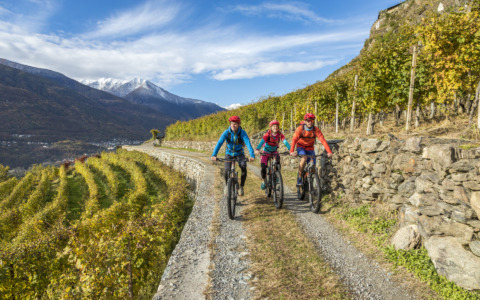 Il 16 aprile Valposchiavo e Valtellina si incontrano