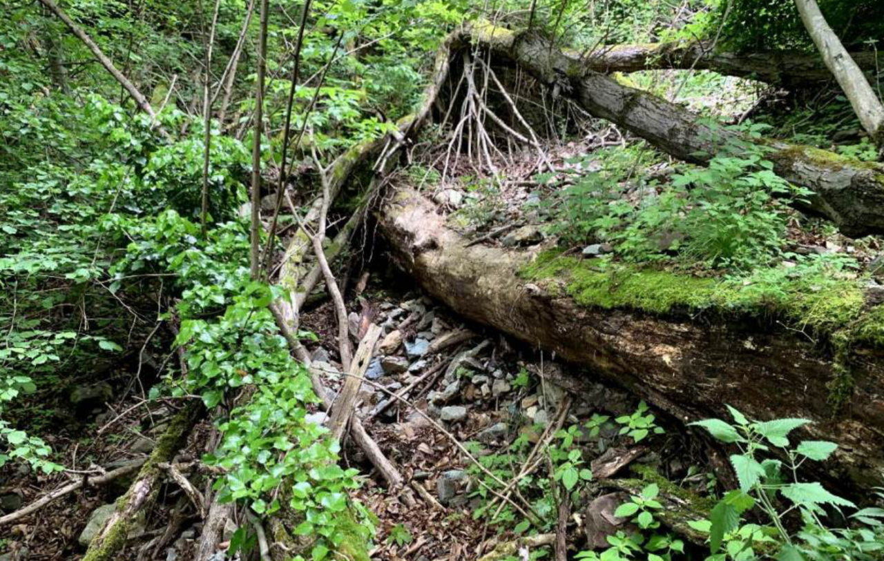 Interventi per la sicurezza idrogeologica nelle frazioni di Sondrio
