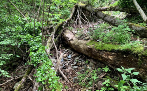Interventi per la sicurezza idrogeologica nelle frazioni di Sondrio