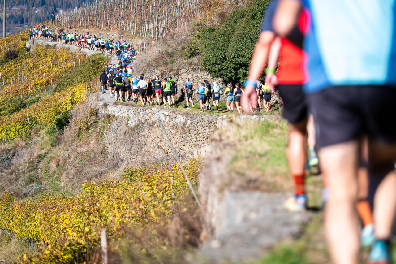 Valtellina Wine Trail: al via le iscrizioni per l’edizione 2026