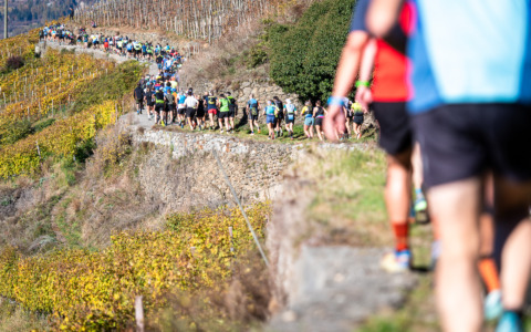 Valtellina Wine Trail: al via le iscrizioni per l’edizione 2026
