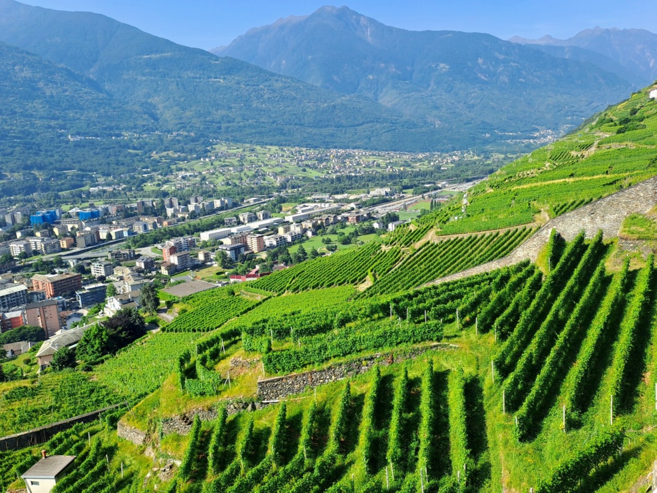 Generazione Terra, una chance per i giovani dell’agricoltura montana