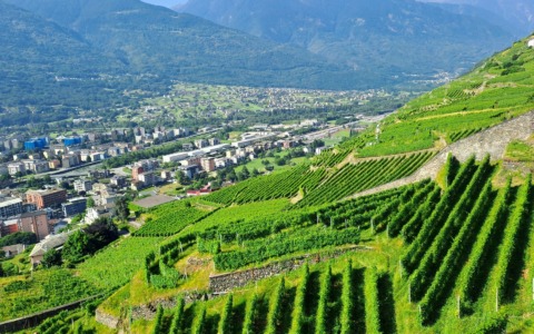 Generazione Terra, una chance per i giovani dell’agricoltura montana