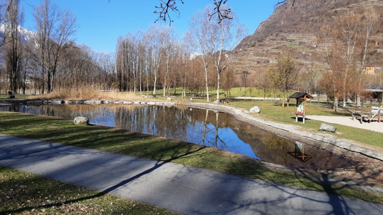 Riapertura del bar al Parco Bartesaghi di Sondrio