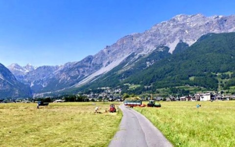 Il Tar respinge il ricorso per l’Alute