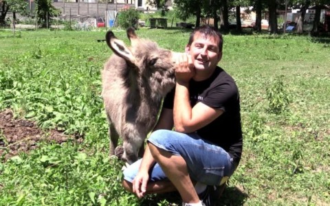 Un grande sostegno per l’asino Forrest