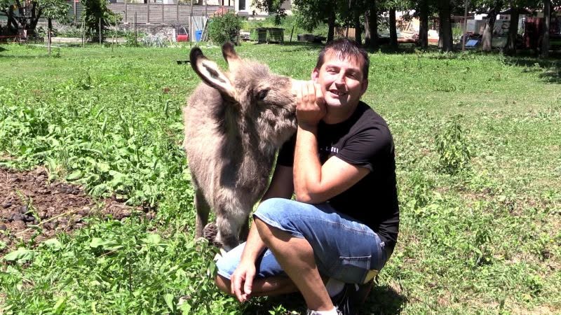 Un grande sostegno per l’asino Forrest